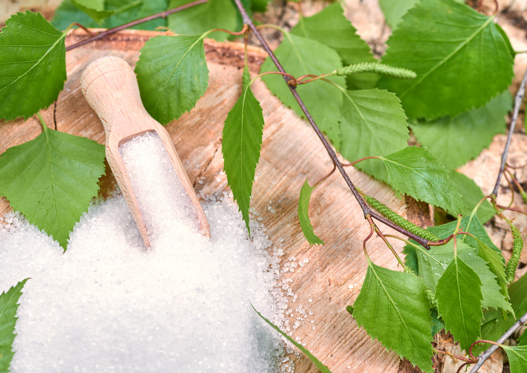 What Is Xylitol?